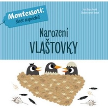 Narození vlaštovky