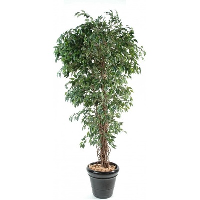 Umelý strom Fíkus prírodný kmeň liány deluxe, 150cm