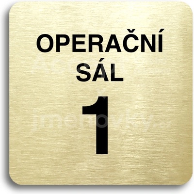 ACCEPT Piktogram operační sál 1 - zlatá tabulka - černý tisk bez rámečku