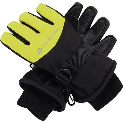 Alpine pro Lordo KGLB024564