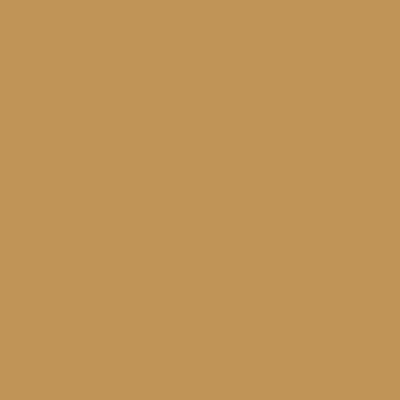 Derwent Watercolour pastelky 58 RAW SIENNA