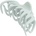 Invisibobble Clipstar Marathon Runner