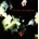 CURE: DISINTEGRATION -REMAST-, CD