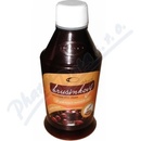Green idea Sirup brusinkový 320 g