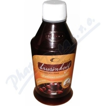Green idea Sirup brusinkový 320 g