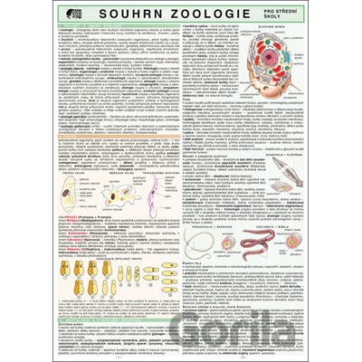 SOUHRN ZOOLOGIE pro SŠ A4