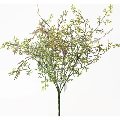 ZÁPICH THUJA RUŽOVKASTÁ 36CM SUPER CENA!