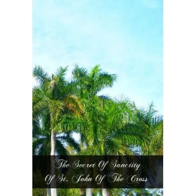 The Secret Of Sanctity Of St. John Of The Cross | Father Lucas of St Joseph Ocd