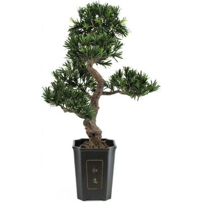 Bonsai, 80cm