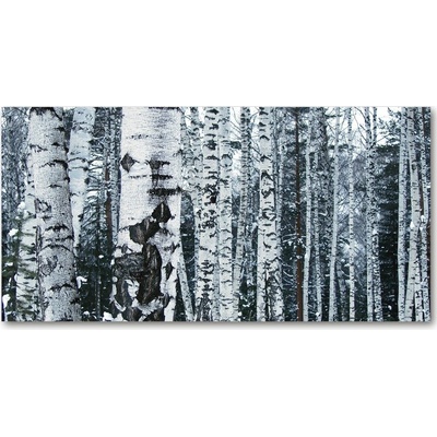 Foto obraz sklo tvrzené stromy breza 100x50 cm