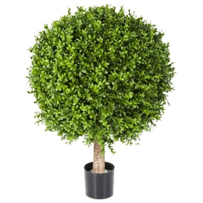 Boxwood Ball 50x65 cm (Buxus umely)