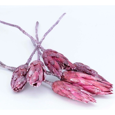 Repens frosted brombeer small 30ks