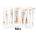 pjur Woman Vegan 2ml 50 pack