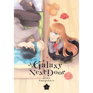 Galaxy Next Door 2 (ISBN: 9781646514649)
