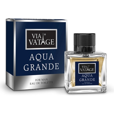BI-ES via vatage aqua grande toaletná voda pánska 100 ml
