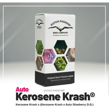 Dutch Passion Kerosene Krash semena neobsahují THC 7 ks