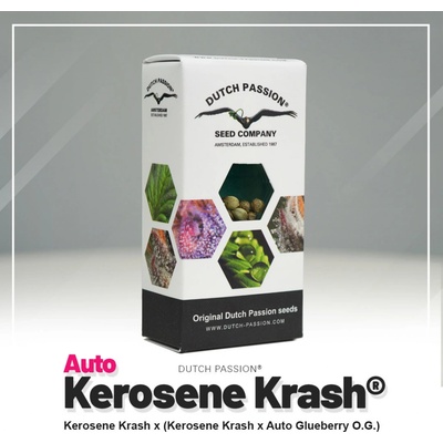 Dutch Passion Kerosene Krash semena neobsahují THC 7 ks