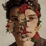 Universal Mendes Shawn: Shawn Mendes - CD (022105)