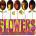Universal Rolling Stones: Flowers - CD (032593)