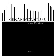 Čekání v zástupu
