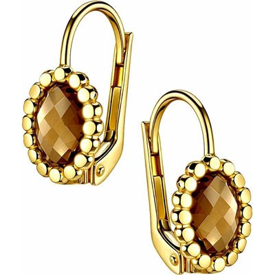Zlaton Náušnice žluté zlato s kamenem visací 1.6cm 2.4g 000860506247