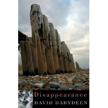 Disappearance Dabydeen DavidPaperback