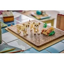 Image 1 of LEGO® Creator 3-in-1 - Wild Animals: Majestic Lion (31386)
