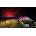 Sky Protect, Germany Sky protect, за Audi A3 Sportback