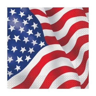 Unique Ubrousky papírové USA 33x33cm 16ks
