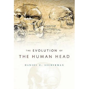Evolution of the Human Head | Daniel E Lieberman (ISBN: 9780674046368)