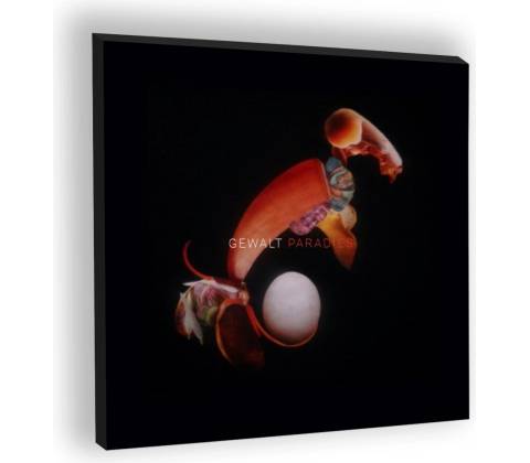 Gewalt: Paradies LP