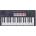 Novation Flkey 2 37
