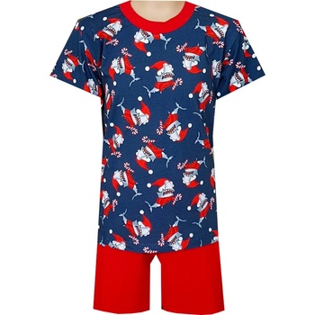 Foltýn pyžamo DP149