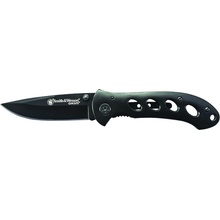 Smith & Wesson Oasis Titanium Finish SW423B