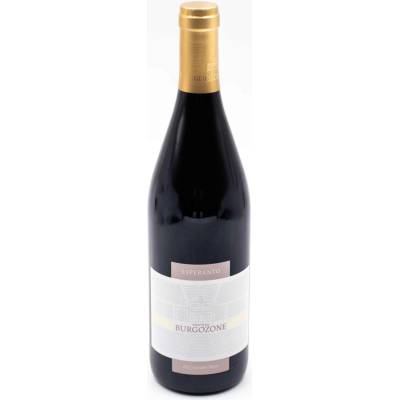 Chateau Burgozone Esperanto červená 2022 14% 0,75 l (holá láhev)