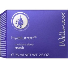 Wellmaxx Hyaluron5 moisture sleep mask 75 ml