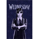JERRY FABRICS Fleece deka Wednesday