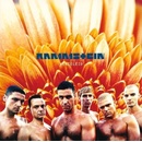 RAMMSTEIN - HERZELEID LP
