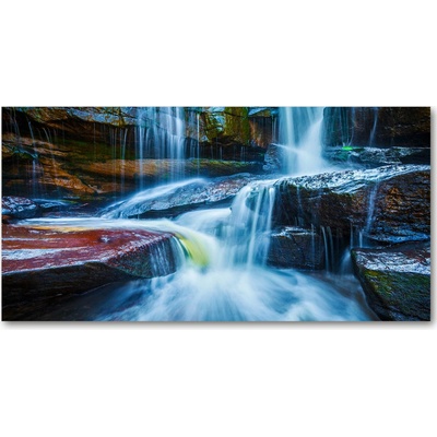 Fotoobraz na skle slivky 100x50 cm