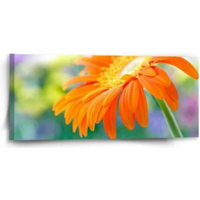 Sablio Obraz Oranžová gerbera - 110x50 cm