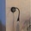 Eglo 901781