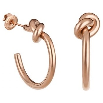 Daniel Klein Дамски обеци Daniel Klein DKJ. 3.5007-3 (DKJ.3.5007-3)