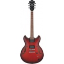 Elektrické gitary Ibanez AS53