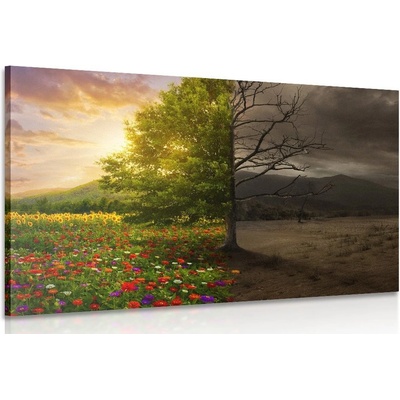 Obraz dvě podoby stromu - 150x100