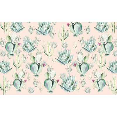 Komar Vliesová fototapeta Cactus Rose rozměry 400 x 250 cm