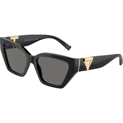 Tiffany & Co. TF4218 800181 Polarized