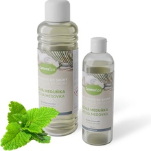 Chemoform Camena saunová esencia Liečivá medovka 250 ml