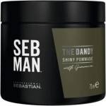 Sebastian Professional Seb Man The Dandy Pomade 75 ml