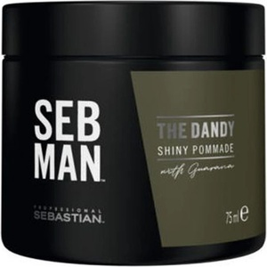 Sebastian Professional Seb Man The Dandy Pomade 75 ml