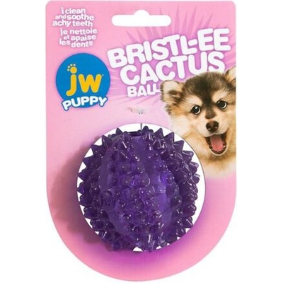JW Pet JW Bristl ee Cactus Ball